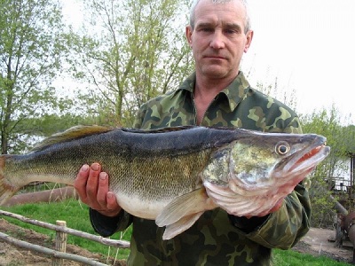 Трофейная рыбалка в Волгоградской области