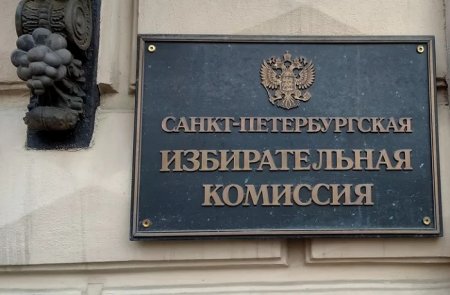 "Родине" отказали в регистрации списка на выборы в ЗАКС Петербурга