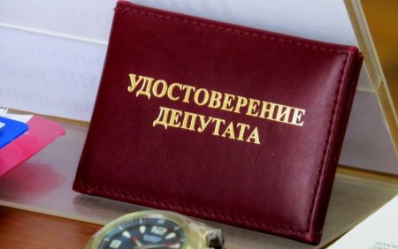 Руководитель МЧС по Петербургу отказался от мандата депутата