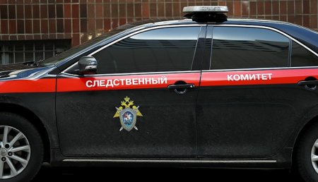 Тела трех убитых студенток нашли в Оренбургской области