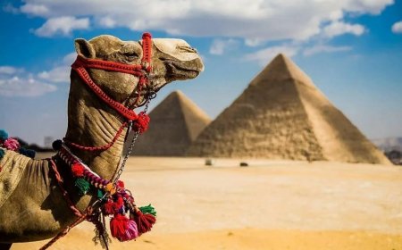 "Это просто Ад ! ..." Туристы закидали Египет негативными отзывами