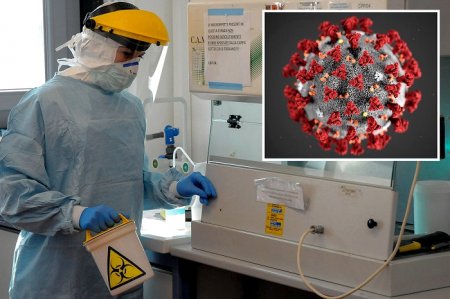 В Японии заявили, что дельта-штамм коронавируса "самоуничтожился"