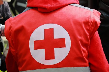 Страшные базы Красного креста об органах детей нашли в Мариуполе 