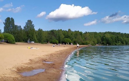 В Лемболовском озере утонул ребёнок. СК провёл обыск в администрации Куйвози