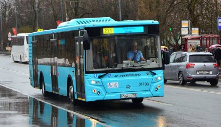 «Хождение по мукам»: жители Петербурга раскритиковали низкую скорость социальных автобусов