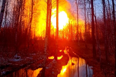  Взрыв и пожар на газопроводе в Ленобласти 19 ноября 2022